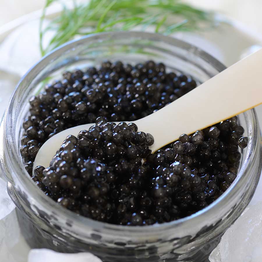 White Sturgeon Caviar: Luxurious Indulgence from the Depths