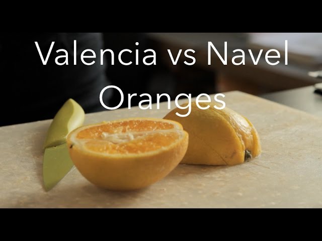 Valencia Oranges vs Navel Oranges: Citrus Clash in Your Fruit Basket