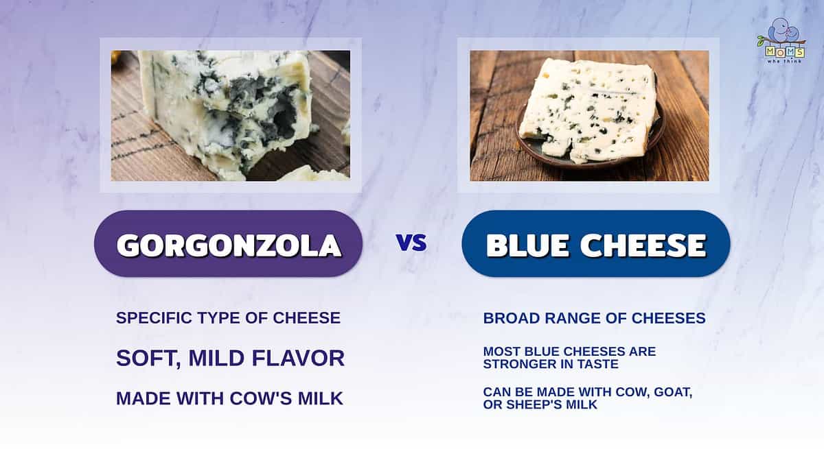Gorgonzola Cheese vs Blue Cheese: A Creamy Blue Battle