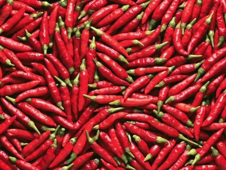 Chiles vs Peppers: The Fiery Debate Unraveled