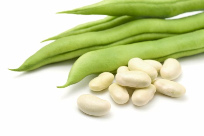 Lima Beans vs Fava Beans: Delving into the Legume Legacy