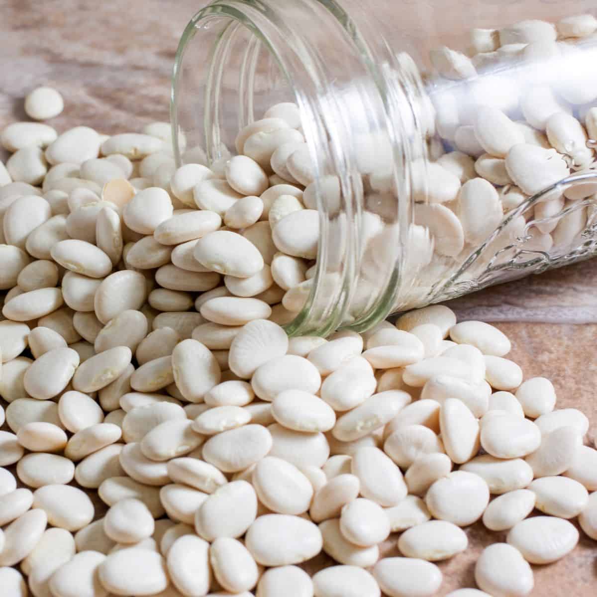 Lima Beans vs Fava Beans: Delving into the Legume Legacy